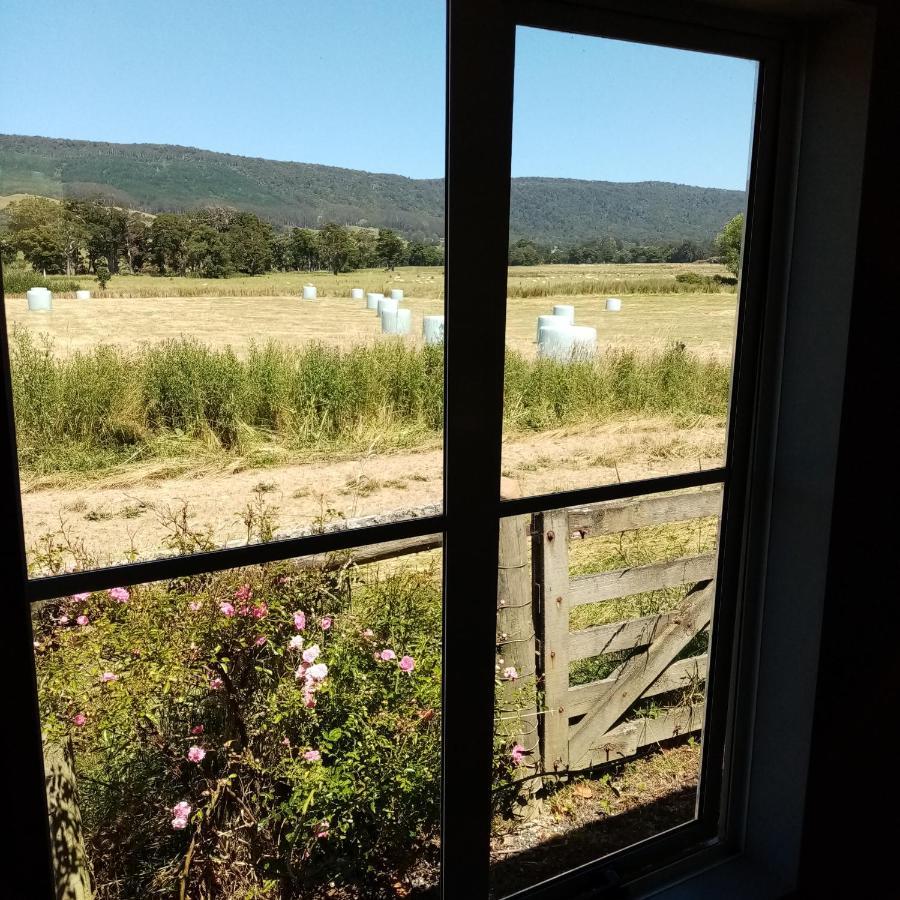 Tahakopa Lodge - Cabin Eksteriør bilde